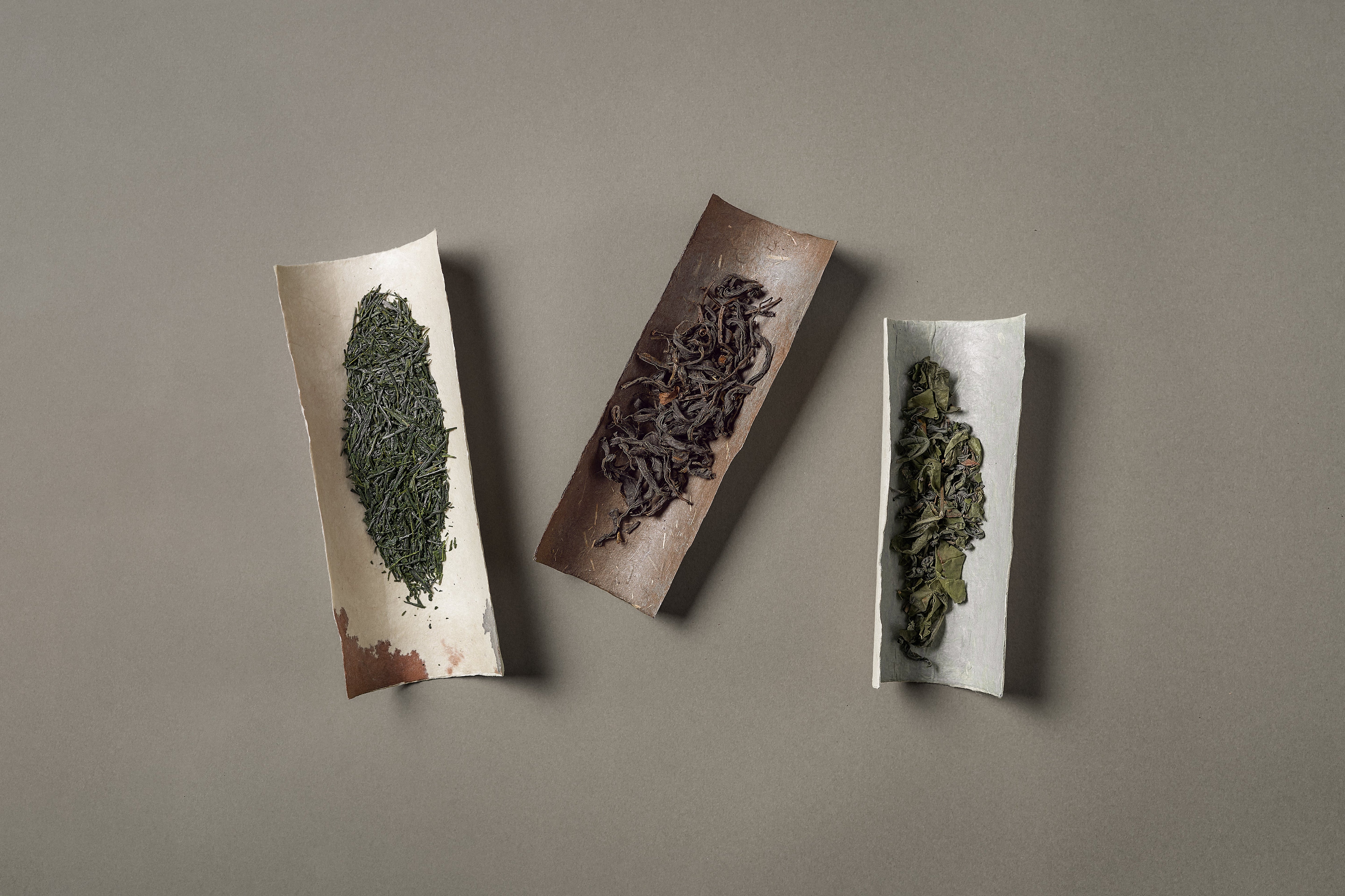 茶師に学ぶ茶歌舞伎